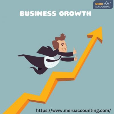 Vitalizing growth: Meru Accounting Best Practices - Ahmedabad Other