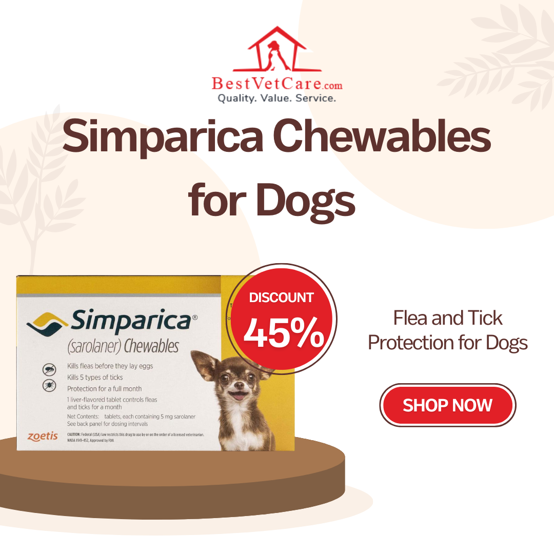 Simparica Chewable Flea & Tick Protection for Dogs | BestVetCare - New York Dogs, Puppies