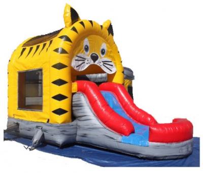 Dry Slide Rentals | Hickory Mega Parties | Safe & Thrilling Event Entertainment - New York Other