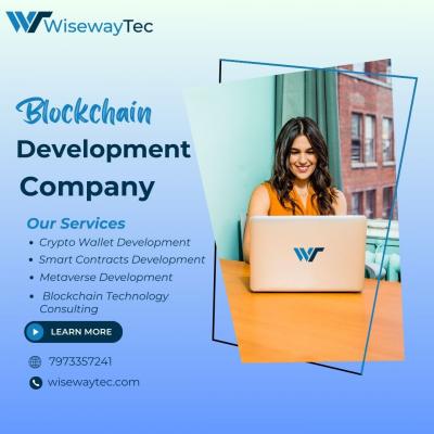 Top Blockchain Development Company- Wisewaytec - San Jose Other
