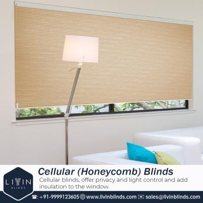 Looking for the best vertical blinds for windows - Delhi Other