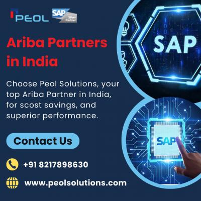 Ariba Partners in India