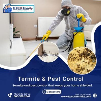 Best Termite & Pest Control Services | Safe and Effective