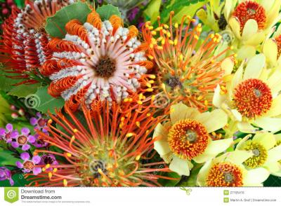 Same Day Native Flowers Delivery in Melbourne - Melbourne Home & Garden