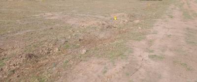 DTCP APPROVED PLOTS FOR SALE AT SEVAPPET  - Chennai For Sale