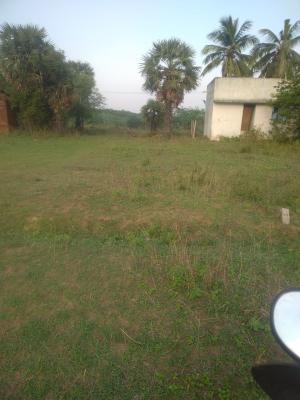 DTCP APPROVED PLOTS FOR SALE AT ARANVOYAL - Chennai For Sale