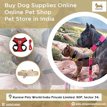 Buy Dog Supplies Online | Online Pet Shop | Pet Store in India 