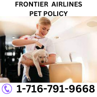 Frontier Airlines Pet Policy