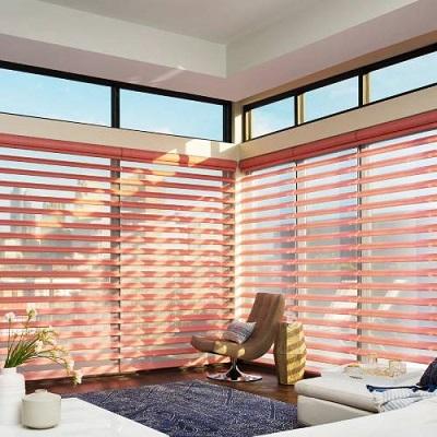 Get Solar Roller Shades by BDIY Blinds- Where Style Meets Function - Las Vegas Interior Designing