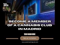 Genetics Social Club Madrid - Madrid Other