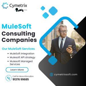  Mulesoft Consulting Companies