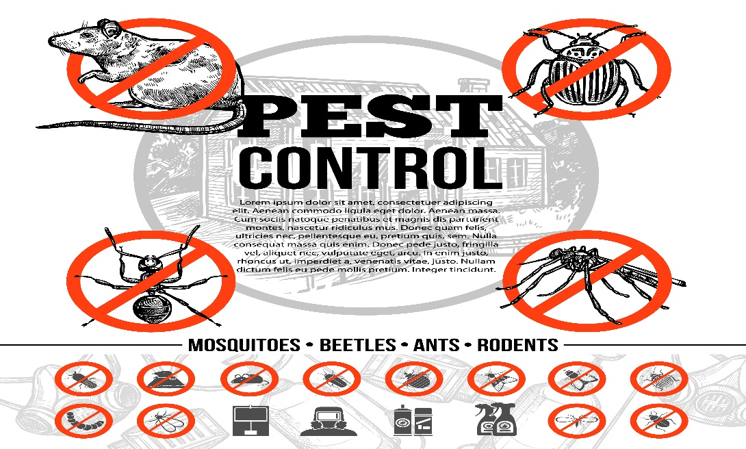 Top Pest Control Services in Bhopal - Safaiwale