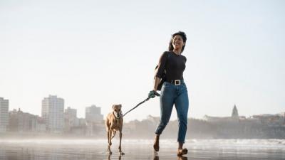 Buying A Hands-Free Dog Leash Online