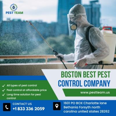 Boston best pest control company - Other Other