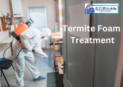 Choose Professional Termite Foam Treatment Services - Ecola Termite