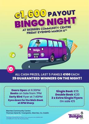 play bingo online from Home - Dublin Other