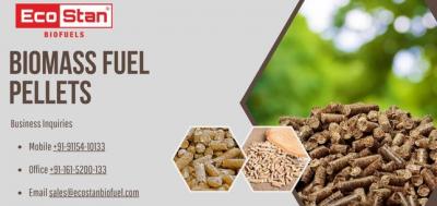 Understanding Biomass Fuel Pellets as a Sustainable Energy Solution - Ludhiana Other