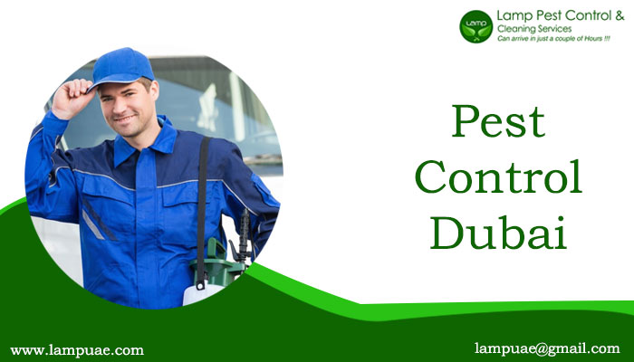 Pest control Dubai - Dubai Other