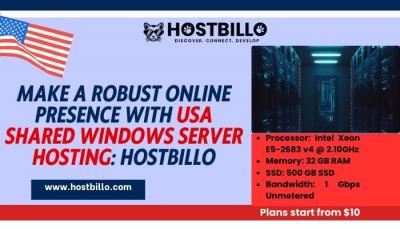 Make A Robust Online Presence With USA Shared Windows Server Hosting: Hostbillo
