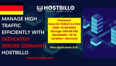 Manage High Traffic Efficiently With Dedicated Server Germany: Hostbillo