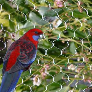 Anti Bird Net Manufacturers - Hyderabad Other