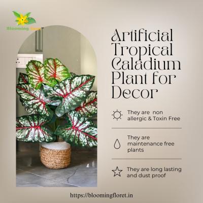 Elevate Your Space with Home Decor Artificial Plants from Blooming Floret - Delhi Home & Garden