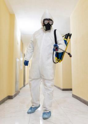 Trusted Bed Bug Exterminator in Los Angeles - Quick and Effective Solutions