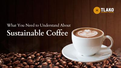 What You Need to Understand About Sustainable Coffee - Zurich Other