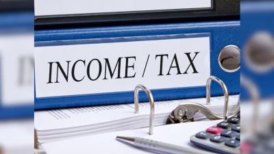 Navigating Tax Season: Key Information About Income Tax - Pune Loans