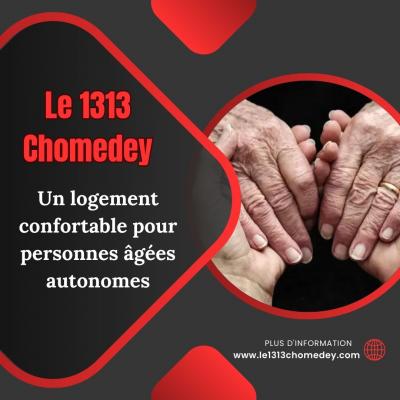 Le 1313 Chomedey - Un logement confortable pour personnes âgées autonomes - Quebec Other