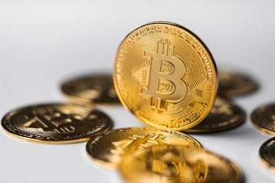Latest Bitcoin News | The Crypto Basic - Other Other
