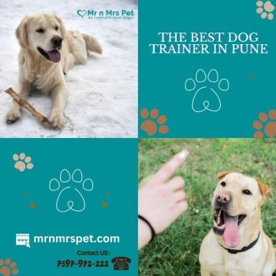 The Best Dog Trainer in Pune - Pune Other