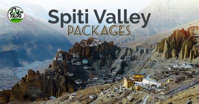 Explore Spiti Valley: Enlive Trips' Delhi Tour Package - Delhi Other