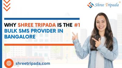 Why Shree Tripada is the 1 Bulk SMS Provider in Bangalore - Ahmedabad Other