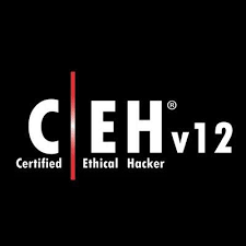 Ceh V12 Certification Training - Other Computer