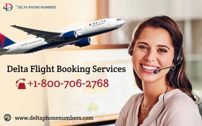 Delta Flight Booking Services - Chicago Other