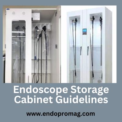 Endoscope Storage Cabinets Guidelines to Ensure Optimal Care - Other Health, Personal Trainer