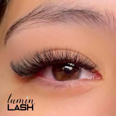 Transform Your Look with Lash Extensions in Cinco Ranch - Houston Other
