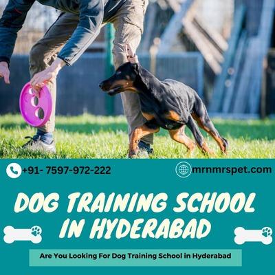  Best Dog Training School in Hyderabad - Hyderabad Other