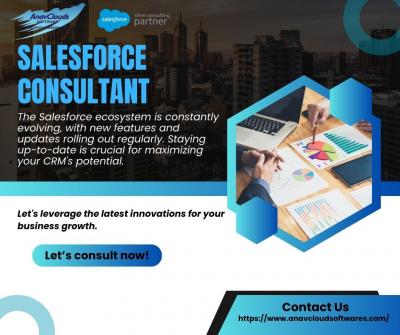 Unlock Your Business Potential with a Certified Salesforce Consultant! 