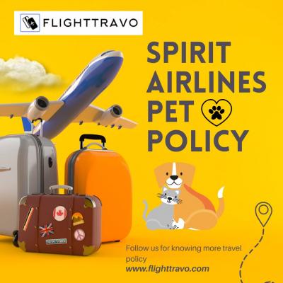 Can My Pet Fly Spirit? Understanding Spirit Airlines Pet Policy - Oakland Other