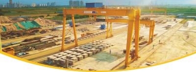 Best Goliath Crane Manufacturers  - Pune Industrial Machineries