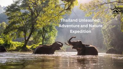 Thailand Unleashed: Adventure and Nature Expedition - Delhi Other