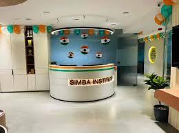 Simba InfoTech And Institute LLP - Surat Other