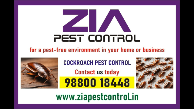 Zia pest control service | effective cockroach treatment Rs. 1200 | 1938  - Bangalore Temp, Part Time