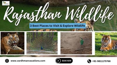 Rajasthan Wildlife Tour: Explore Nature's Splendor