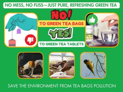 Discard messy tea bags, conserve nature & buy green tea tablets online - Delhi Other
