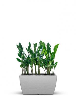 Balcony Planters | Light Weight Indoor Balcony Planters – Sereno