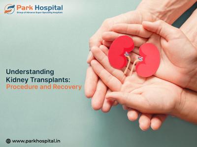 Celestial Care with the Premier Kidney Transplant Center in India