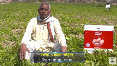 Maximize Your Potato Harvest with Shriram Sprayit Fertilizer